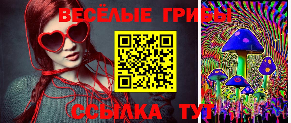 Бугульма  Галлюциногенные грибы прущие грибы  Вход с VPN 