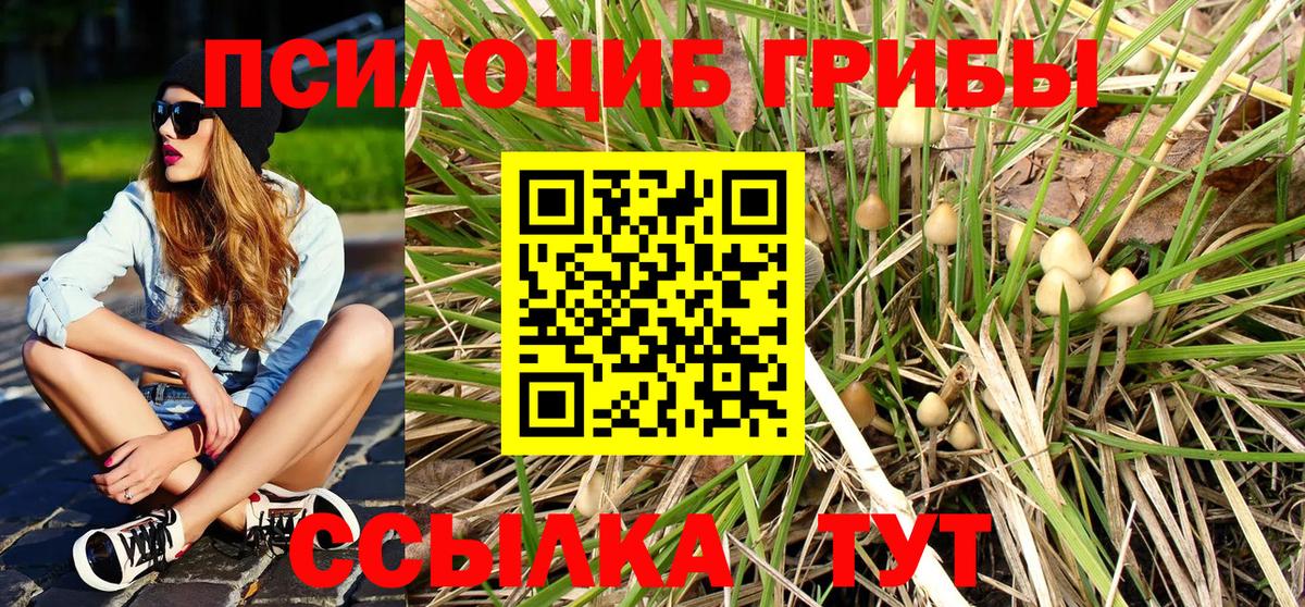 Псилоцибиновые грибы прущие грибы  Бугульма 